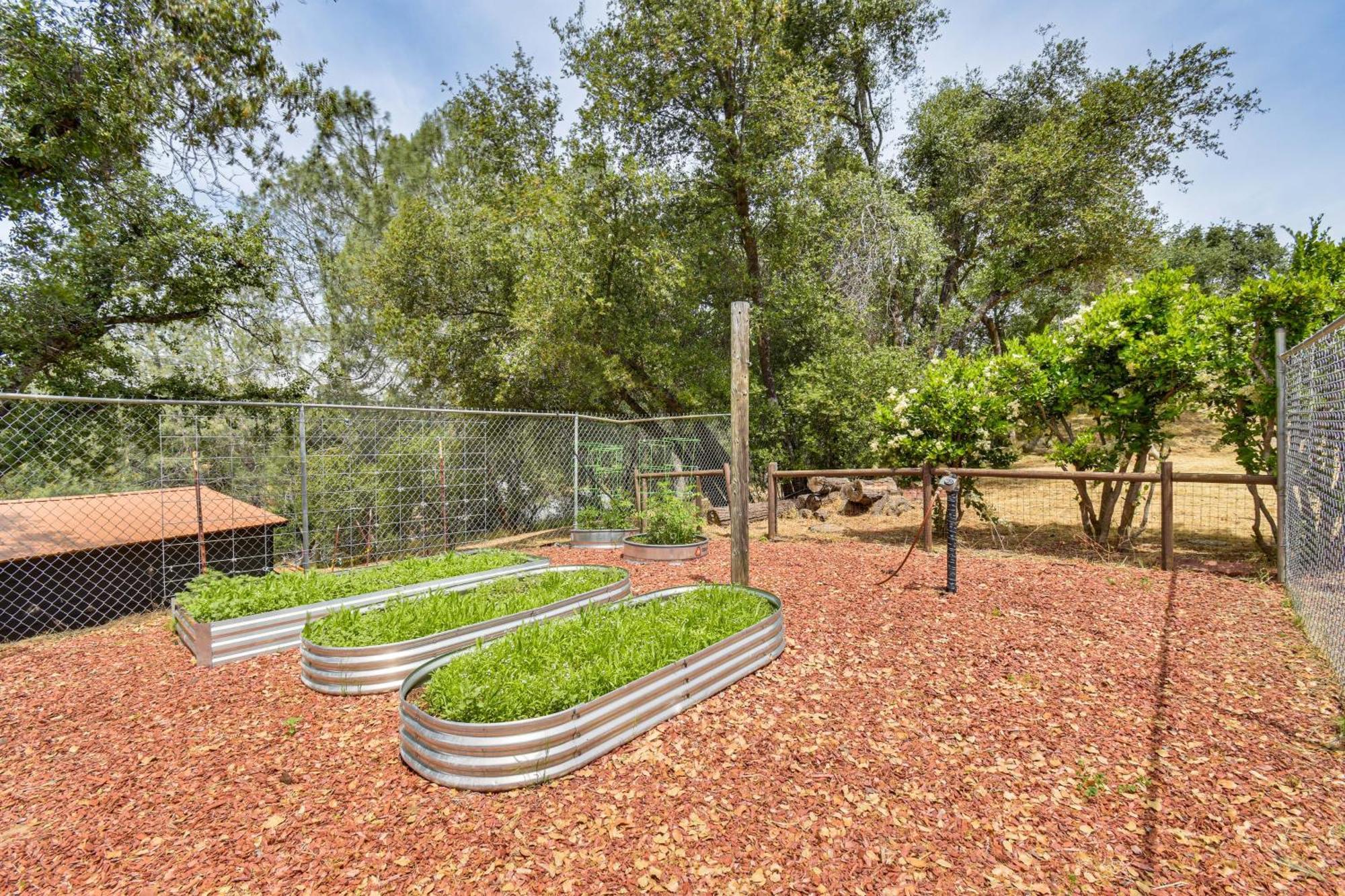 Yosemite Wellbeing Retreat On 5 Acres With Mtn Views *